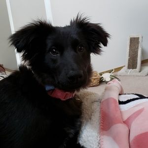 Meet your Posher, Janet